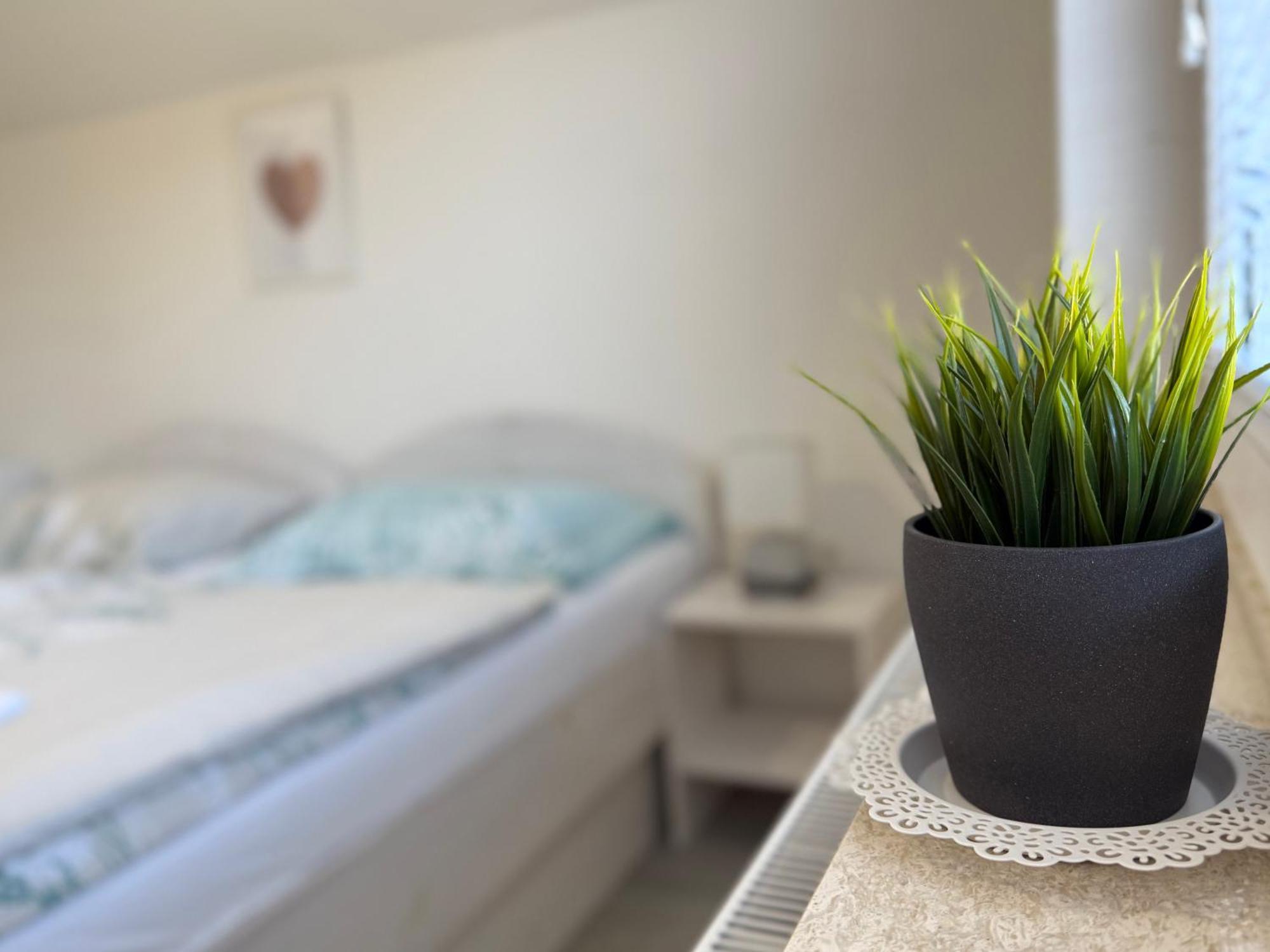 Guest House Kobal Spodnje Gorje Kültér fotó